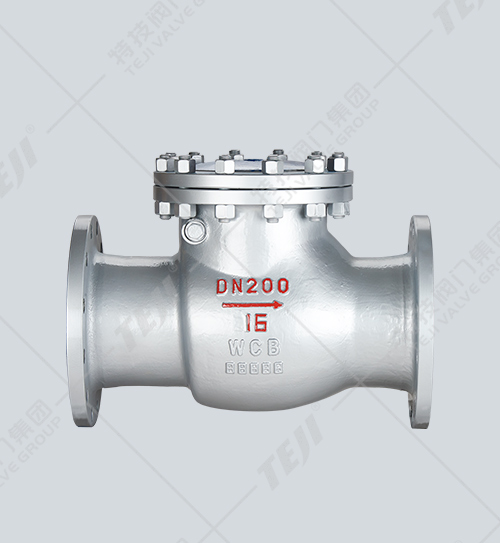 國(guó)標(biāo)旋啟式止回閥