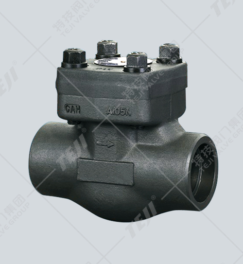 鍛鋼內(nèi)螺紋、承插止回閥